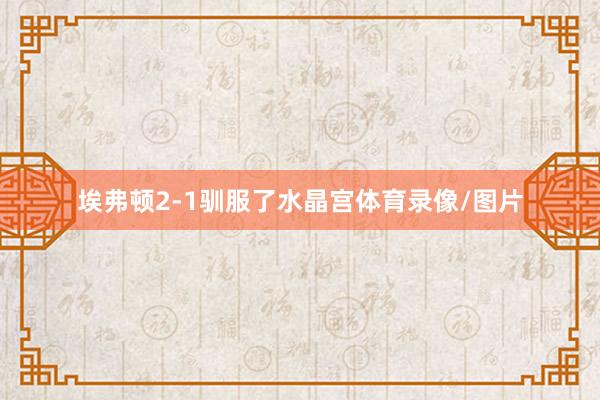 埃弗顿2-1驯服了水晶宫体育录像/图片