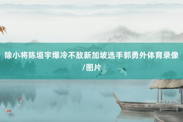 除小将陈垣宇爆冷不敌新加坡选手郭勇外体育录像/图片