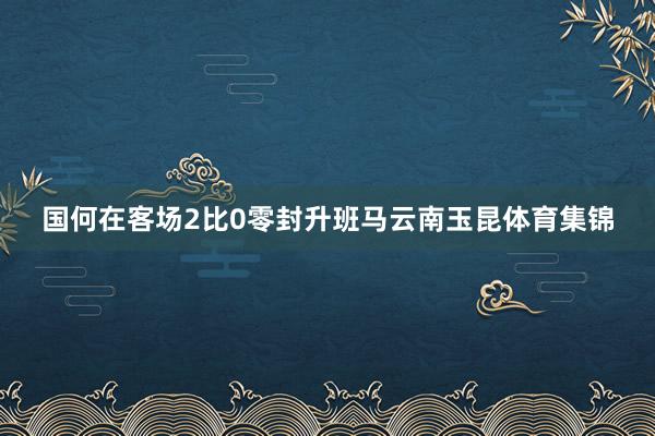 国何在客场2比0零封升班马云南玉昆体育集锦