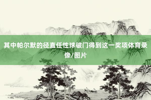 其中帕尔默的径直任性球破门得到这一奖项体育录像/图片