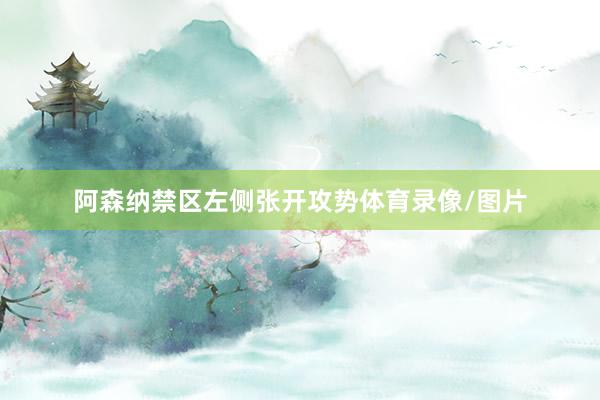 阿森纳禁区左侧张开攻势体育录像/图片
