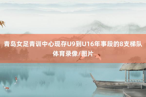 青岛女足青训中心现存U9到U16年事段的8支梯队体育录像/图片