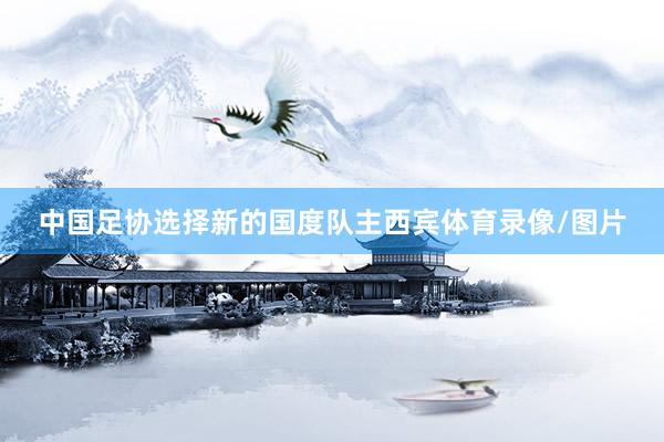 中国足协选择新的国度队主西宾体育录像/图片