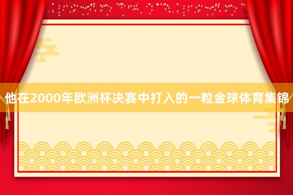他在2000年欧洲杯决赛中打入的一粒金球体育集锦