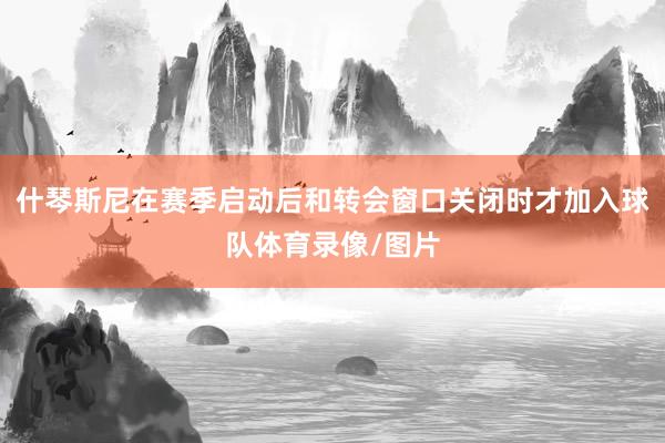 什琴斯尼在赛季启动后和转会窗口关闭时才加入球队体育录像/图片