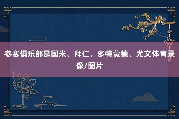 参赛俱乐部是国米、拜仁、多特蒙德、尤文体育录像/图片