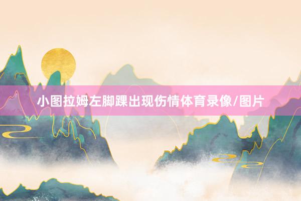 小图拉姆左脚踝出现伤情体育录像/图片