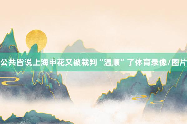 公共皆说上海申花又被裁判“温顺”了体育录像/图片