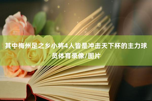 其中梅州足之乡小将4人皆是冲击天下杯的主力球员体育录像/图片