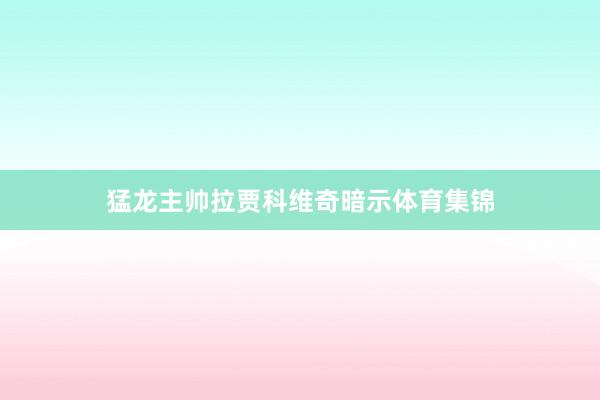 猛龙主帅拉贾科维奇暗示体育集锦