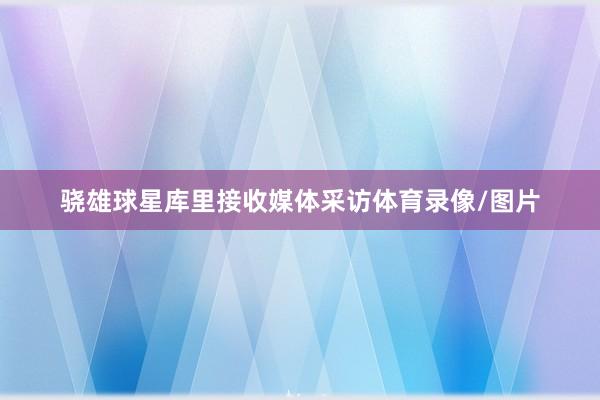 骁雄球星库里接收媒体采访体育录像/图片