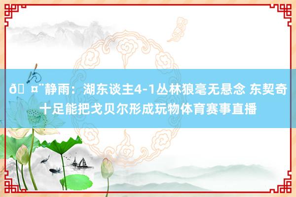 🤨静雨：湖东谈主4-1丛林狼毫无悬念 东契奇十足能把戈贝尔形成玩物体育赛事直播