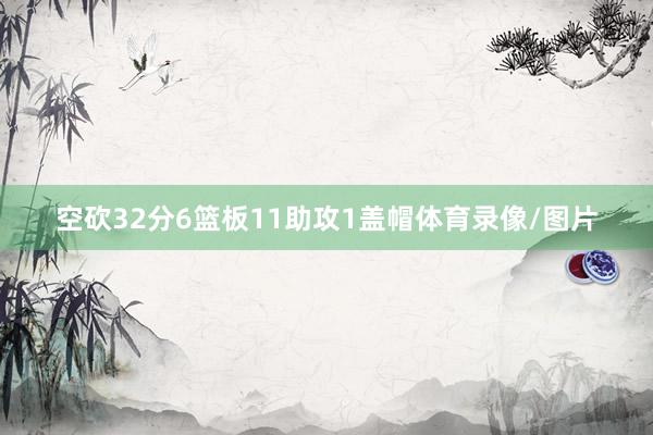 空砍32分6篮板11助攻1盖帽体育录像/图片