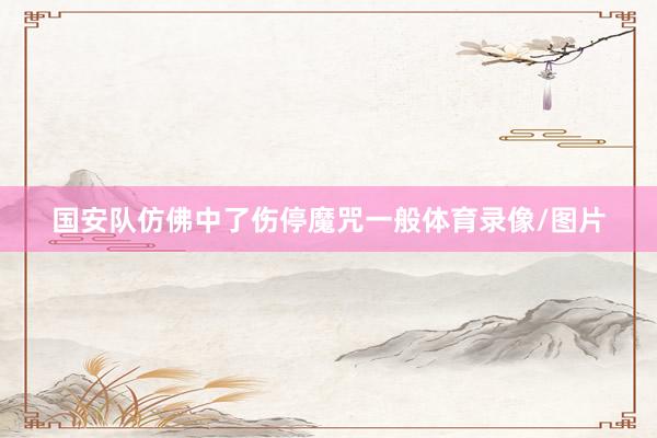 国安队仿佛中了伤停魔咒一般体育录像/图片