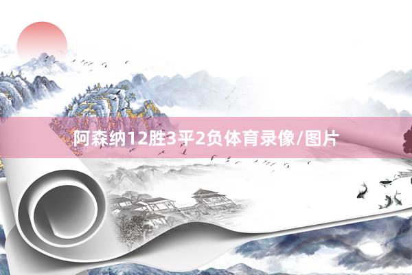 阿森纳12胜3平2负体育录像/图片