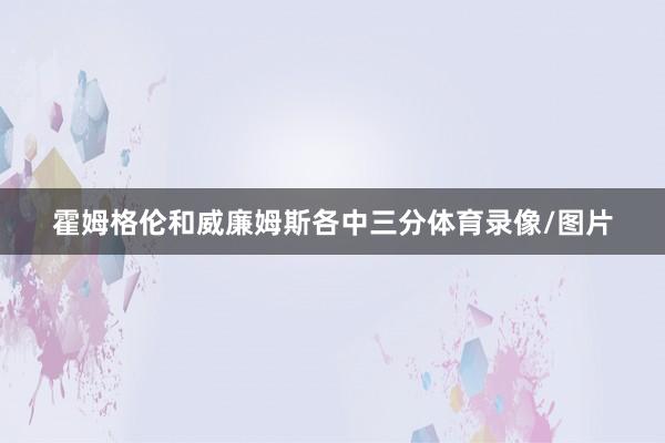 霍姆格伦和威廉姆斯各中三分体育录像/图片