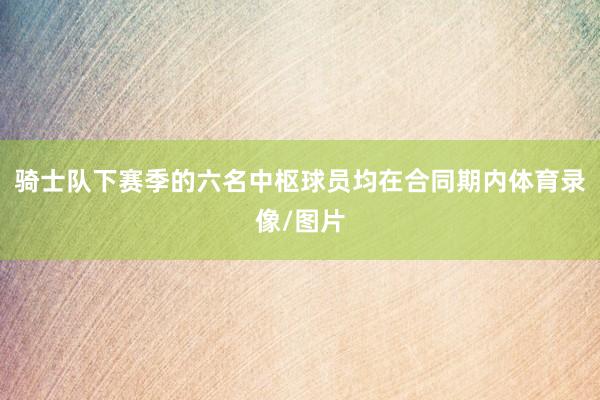 骑士队下赛季的六名中枢球员均在合同期内体育录像/图片