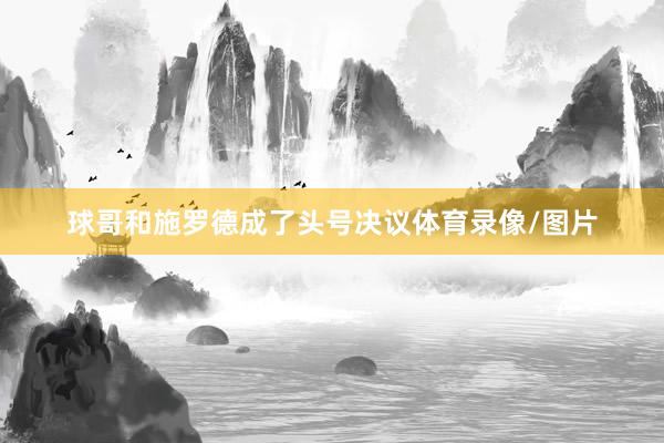 球哥和施罗德成了头号决议体育录像/图片