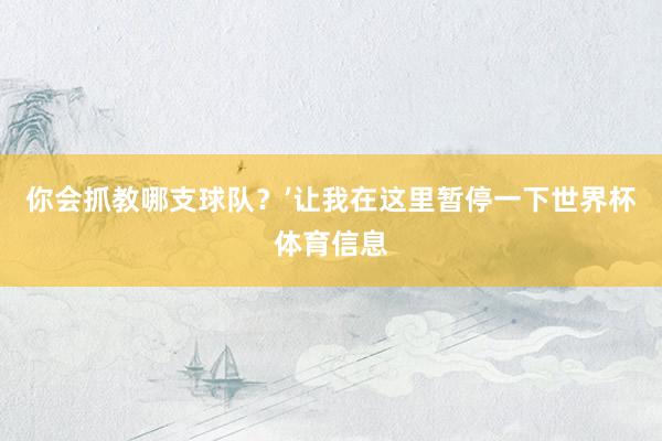 你会抓教哪支球队？’让我在这里暂停一下世界杯体育信息