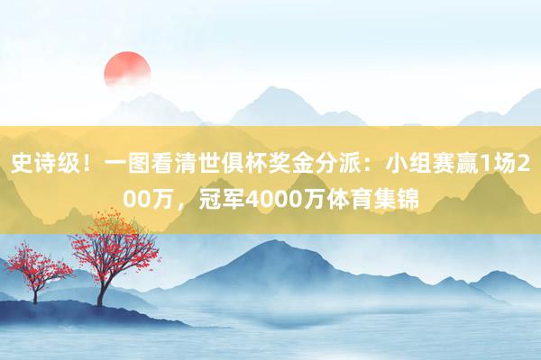 史诗级！一图看清世俱杯奖金分派：小组赛赢1场200万，冠军4000万体育集锦