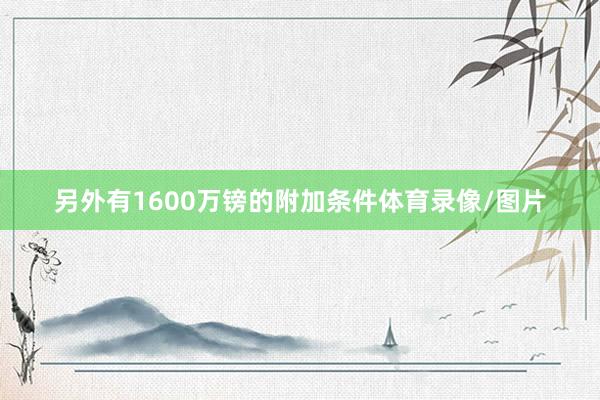 另外有1600万镑的附加条件体育录像/图片
