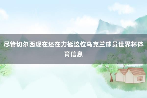 尽管切尔西现在还在力挺这位乌克兰球员世界杯体育信息