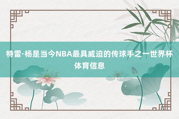 特雷·杨是当今NBA最具威迫的传球手之一世界杯体育信息