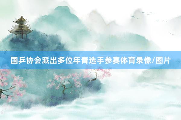 国乒协会派出多位年青选手参赛体育录像/图片