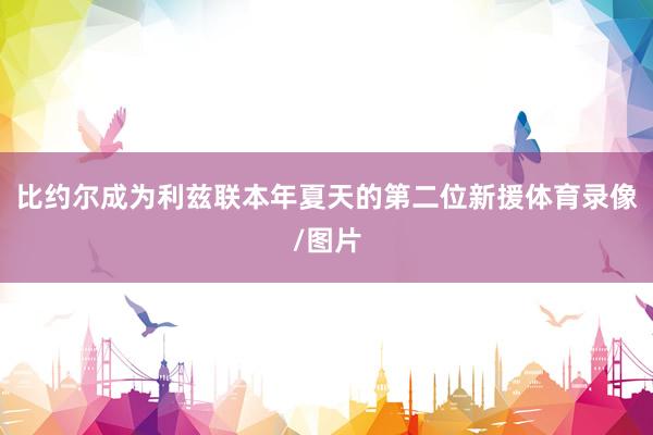 比约尔成为利兹联本年夏天的第二位新援体育录像/图片