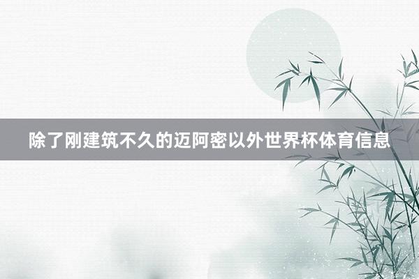 除了刚建筑不久的迈阿密以外世界杯体育信息