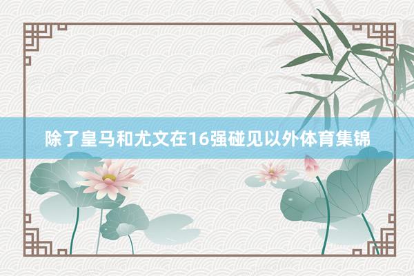 除了皇马和尤文在16强碰见以外体育集锦