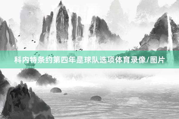 科内特条约第四年是球队选项体育录像/图片