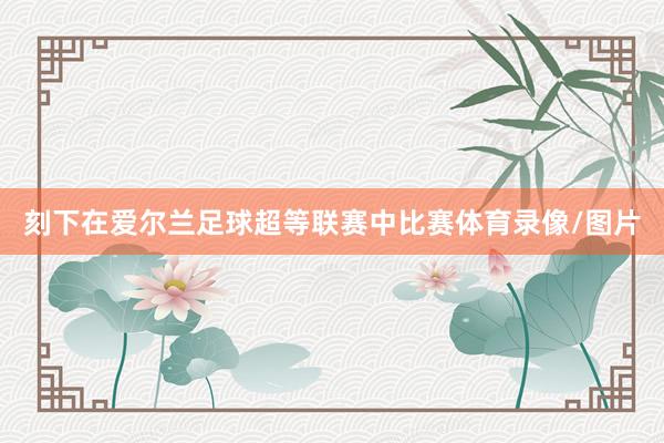 刻下在爱尔兰足球超等联赛中比赛体育录像/图片