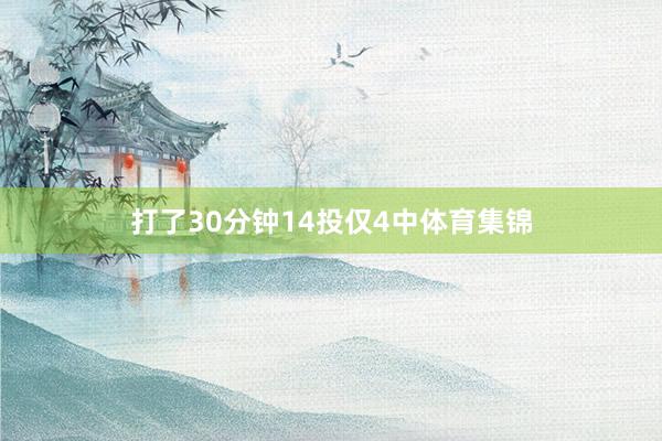 打了30分钟14投仅4中体育集锦