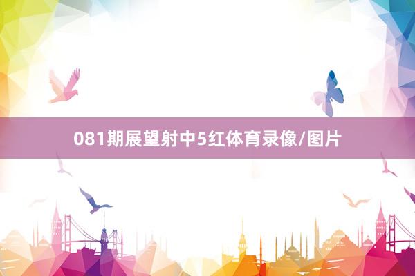 081期展望射中5红体育录像/图片