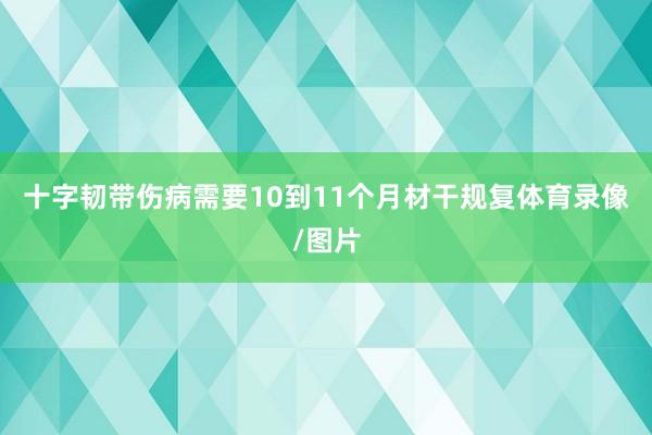十字韧带伤病需要10到11个月材干规复体育录像/图片