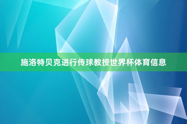 施洛特贝克进行传球教授世界杯体育信息