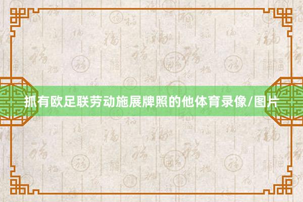 抓有欧足联劳动施展牌照的他体育录像/图片
