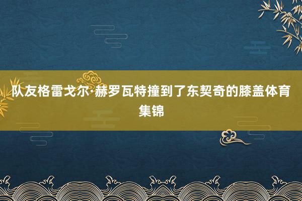 队友格雷戈尔·赫罗瓦特撞到了东契奇的膝盖体育集锦
