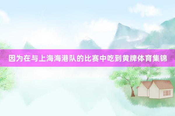 因为在与上海海港队的比赛中吃到黄牌体育集锦