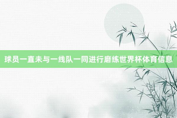 球员一直未与一线队一同进行磨练世界杯体育信息