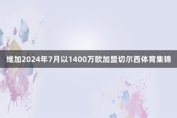 维加2024年7月以1400万欧加盟切尔西体育集锦