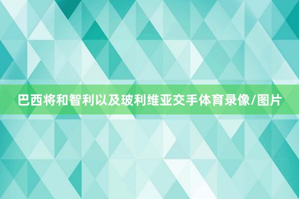 巴西将和智利以及玻利维亚交手体育录像/图片