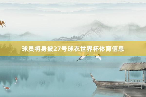 球员将身披27号球衣世界杯体育信息
