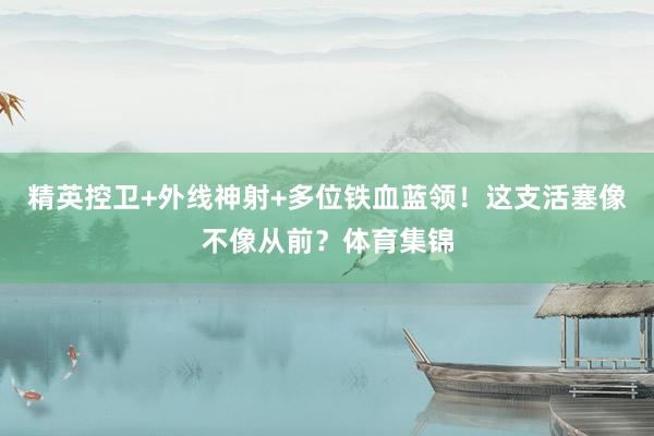 精英控卫+外线神射+多位铁血蓝领！这支活塞像不像从前？体育集锦