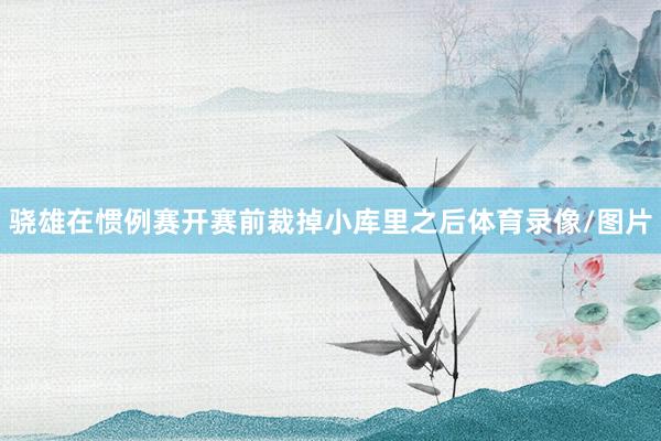 骁雄在惯例赛开赛前裁掉小库里之后体育录像/图片