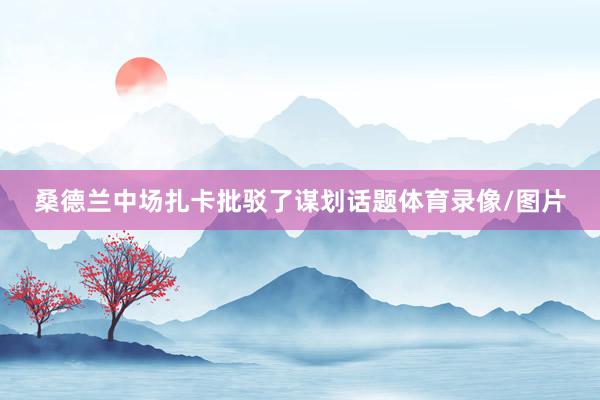 桑德兰中场扎卡批驳了谋划话题体育录像/图片
