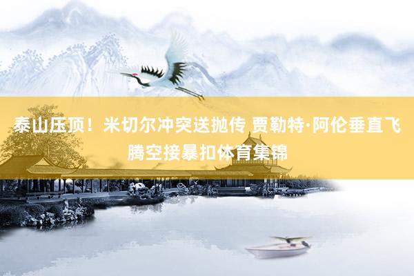 泰山压顶！米切尔冲突送抛传 贾勒特·阿伦垂直飞腾空接暴扣体育集锦