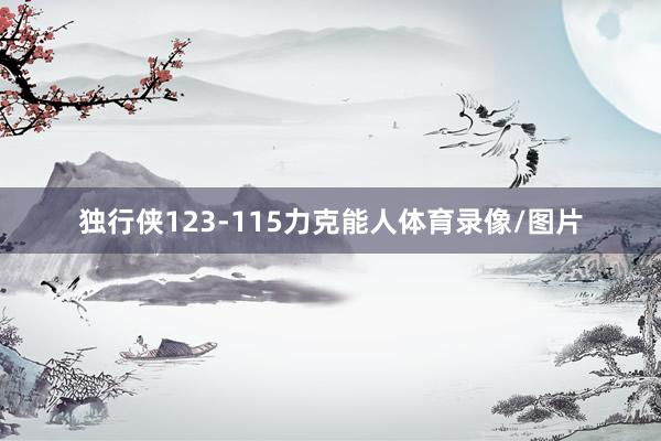 独行侠123-115力克能人体育录像/图片