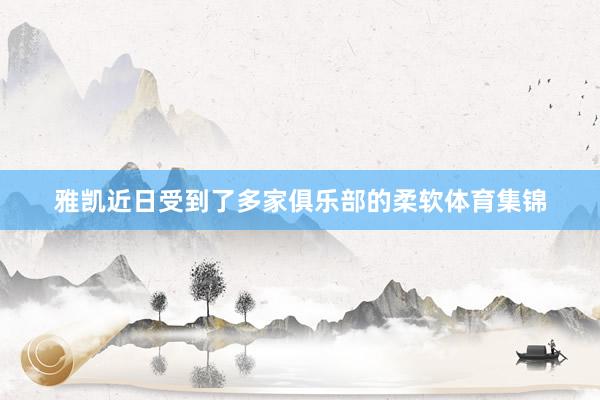 雅凯近日受到了多家俱乐部的柔软体育集锦